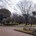 実際訪問したユーザーが直接撮影して投稿した下溝公園神奈川県立 相模原公園の写真