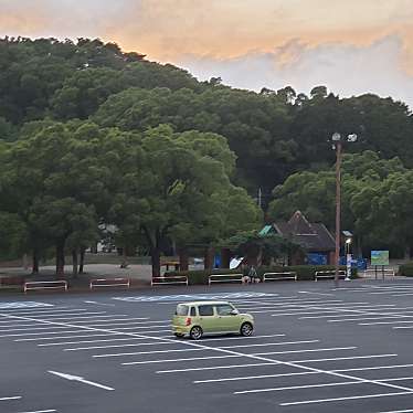 実際訪問したユーザーが直接撮影して投稿した淵町公園稲佐山公園の写真