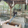 実際訪問したユーザーが直接撮影して投稿した三山神社二宮神社の写真