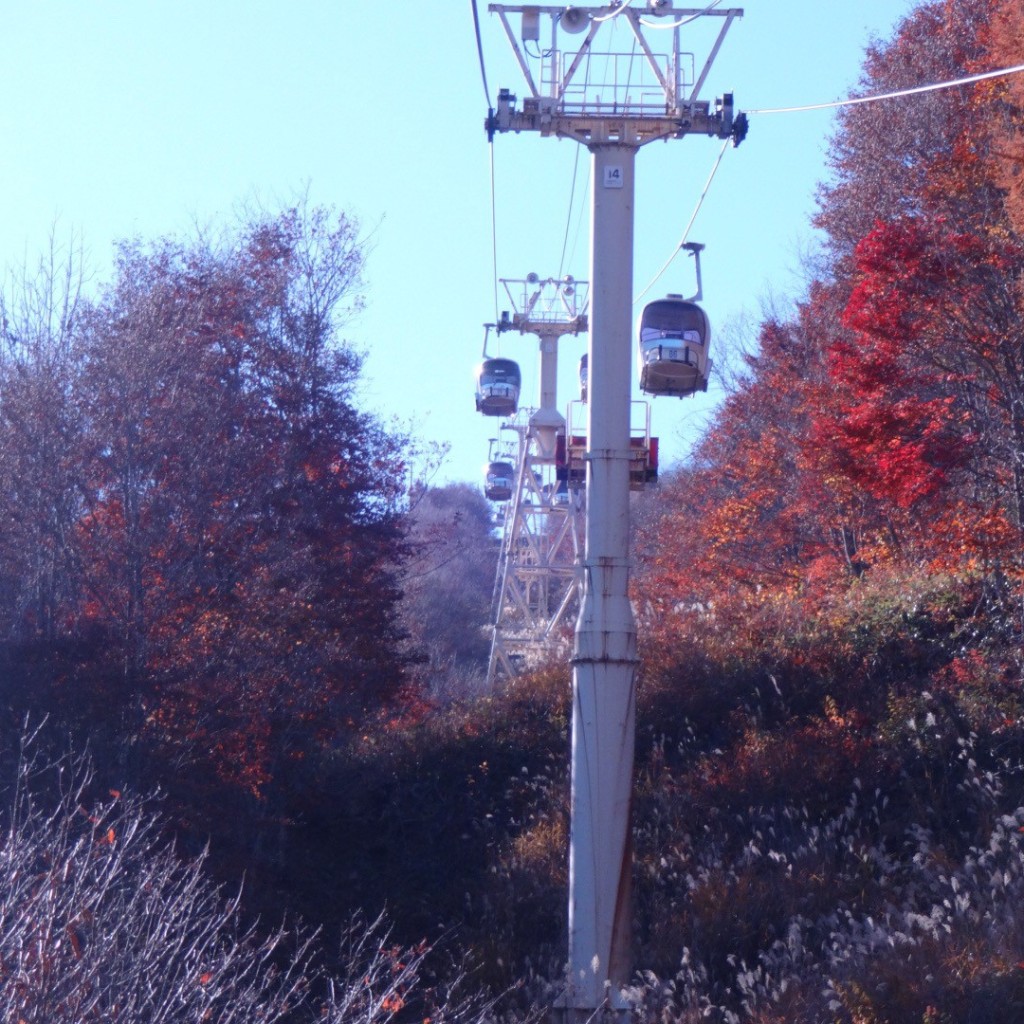 実際訪問したユーザーが直接撮影して投稿した北城ケーブルカー / ロープウェイ八方ゴンドラリフト「アダム」 白馬八方尾根スキー場の写真
