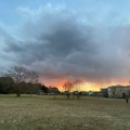 実際訪問したユーザーが直接撮影して投稿した三輪野山公園一本桜広場の写真