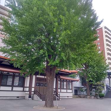 実際訪問したユーザーが直接撮影して投稿した南二条東寺札幌興正寺別院の写真