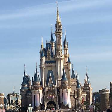 東京ディズニーランドのundefinedに実際訪問訪問したユーザーunknownさんが新しく投稿した新着口コミの写真