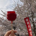 実際訪問したユーザーが直接撮影して投稿した桜ケ岡公園神社櫻岡大神宮の写真