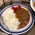 ミニカレー - 実際訪問したユーザーが直接撮影して投稿した曙町そば名代 富士そば 立川店の写真のメニュー情報