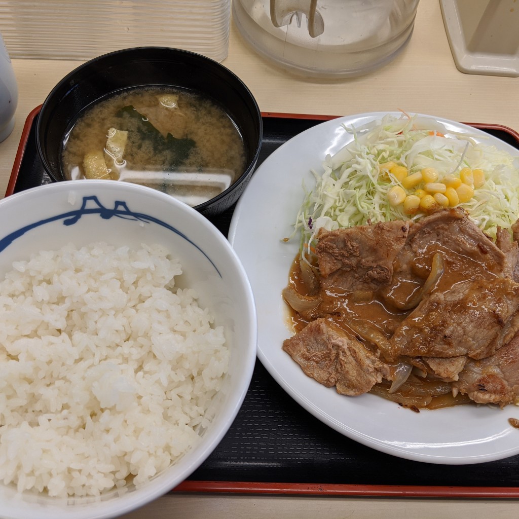 ユーザーが投稿した豚生姜焼定食の写真 - 実際訪問したユーザーが直接撮影して投稿した亀戸牛丼松屋 亀戸南店の写真