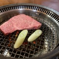 実際訪問したユーザーが直接撮影して投稿した笠間肉料理笠間苑の写真