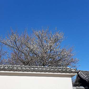 実際訪問したユーザーが直接撮影して投稿した三の丸歴史的建造物弘道館の写真