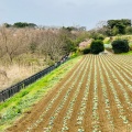 実際訪問したユーザーが直接撮影して投稿した南下浦町上宮田公園小松ケ池公園の写真