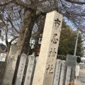 実際訪問したユーザーが直接撮影して投稿した北新町神社布忍神社の写真