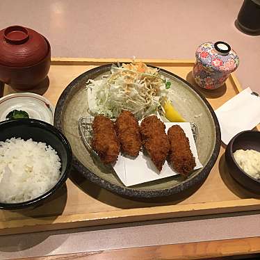 実際訪問したユーザーが直接撮影して投稿した玉沢和食 / 日本料理かかしの写真