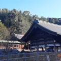 実際訪問したユーザーが直接撮影して投稿した東出雲町揖屋神社揖夜神社の写真