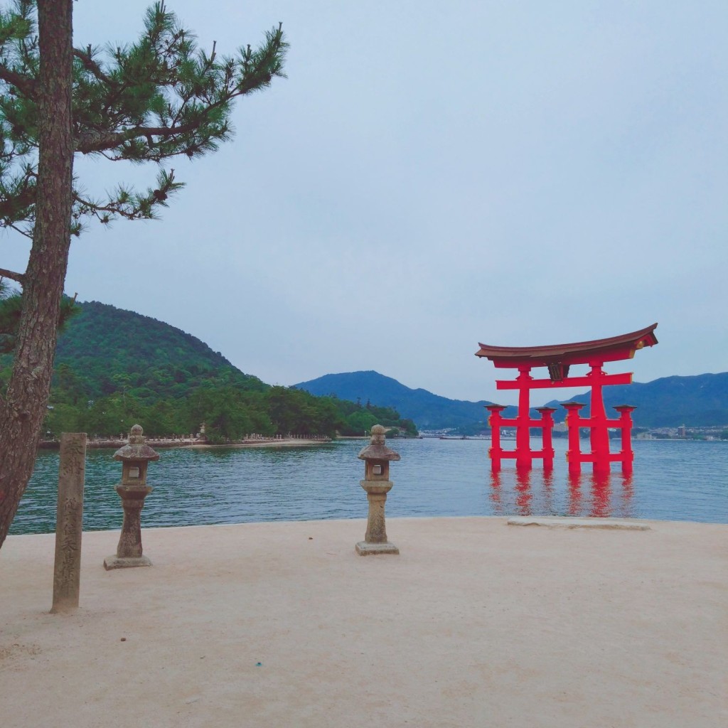 実際訪問したユーザーが直接撮影して投稿した宮島町神社厳島神社の写真