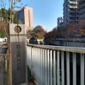 実際訪問したユーザーが直接撮影して投稿した関口公園江戸川公園の写真