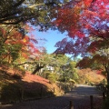 実際訪問したユーザーが直接撮影して投稿した成田公園成田山公園の写真