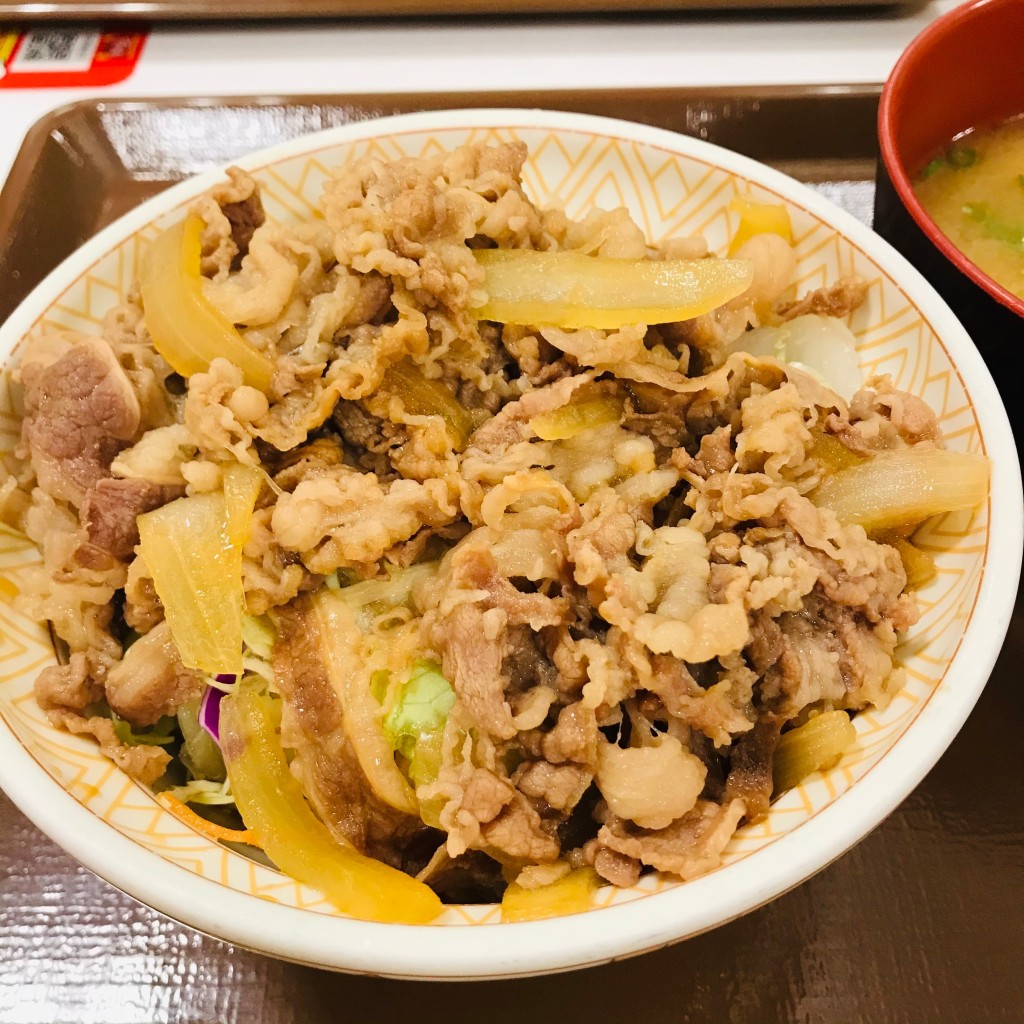 ユーザーが投稿した牛丼ライトの写真 - 実際訪問したユーザーが直接撮影して投稿した椚塚牛丼すき家 南陽警察署西店の写真