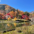 実際訪問したユーザーが直接撮影して投稿した草久神社古峯神社の写真