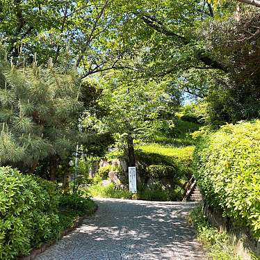 実際訪問したユーザーが直接撮影して投稿した青葉台公園西郷山公園の写真