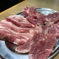 実際訪問したユーザーが直接撮影して投稿した鹿島田焼肉豚焼肉 金豚の写真