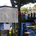 実際訪問したユーザーが直接撮影して投稿した中央歴史 / 遺跡堀江家の墓所の写真