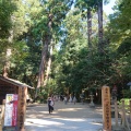 実際訪問したユーザーが直接撮影して投稿した宮中神社鹿島神宮の写真