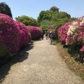 実際訪問したユーザーが直接撮影して投稿した柳本町寺長岳寺の写真