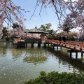 実際訪問したユーザーが直接撮影して投稿した吉之丸公園九華公園の写真