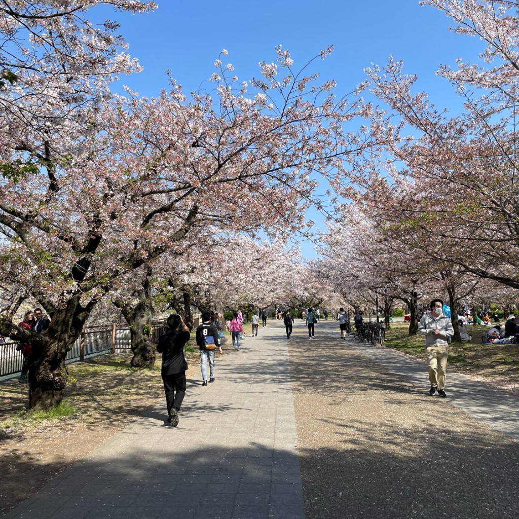 かずくんグルメと旅行さんが投稿した天満公園のお店南天満公園/ミナミテンマコウエンの写真