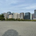 実際訪問したユーザーが直接撮影して投稿した皇居外苑公園皇居前広場の写真