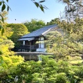 実際訪問したユーザーが直接撮影して投稿した本町庭園御屋敷の庭の写真