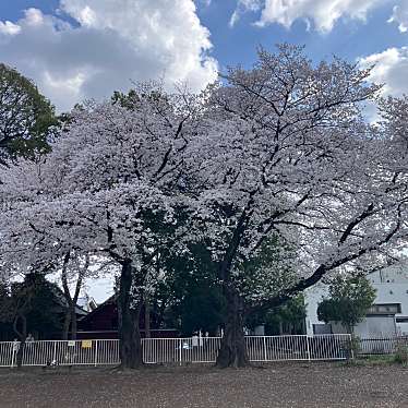 日進神社のundefinedに実際訪問訪問したユーザーunknownさんが新しく投稿した新着口コミの写真