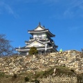 実際訪問したユーザーが直接撮影して投稿した元城町公園浜松城天守閣の写真