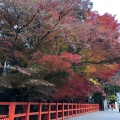 実際訪問したユーザーが直接撮影して投稿した上賀茂本山神社上賀茂神社の写真