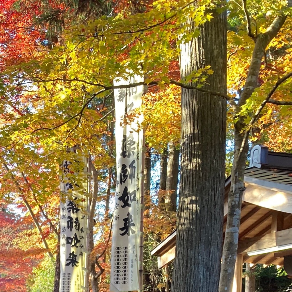 実際訪問したユーザーが直接撮影して投稿した平泉寺薬師堂の写真