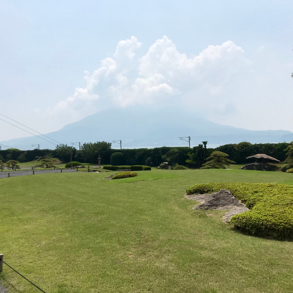 実際訪問したユーザーが直接撮影して投稿した吉野町郷土料理桜華亭の写真