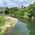 実際訪問したユーザーが直接撮影して投稿した桜ケ岡公園河川広瀬川の写真