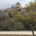 実際訪問したユーザーが直接撮影して投稿した一番丁歴史的建造物丸亀城天守の写真