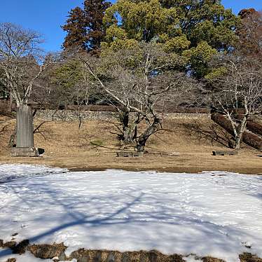 実際訪問したユーザーが直接撮影して投稿した山の手公園龍頭公園の写真