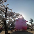 実際訪問したユーザーが直接撮影して投稿した開成公園開成山公園の写真