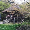 実際訪問したユーザーが直接撮影して投稿した平泉寺弁財天堂の写真
