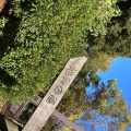実際訪問したユーザーが直接撮影して投稿した錦織南湖沼 / 池赤穂池の写真