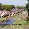 実際訪問したユーザーが直接撮影して投稿した南濃町羽沢公園羽根谷だんだん公園の写真