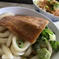 実際訪問したユーザーが直接撮影して投稿した陶うどん手打うどん たむらの写真