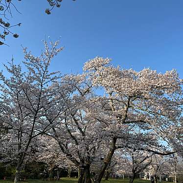 大森城山公園のundefinedに実際訪問訪問したユーザーunknownさんが新しく投稿した新着口コミの写真