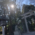 実際訪問したユーザーが直接撮影して投稿した谷保神社谷保天満宮の写真