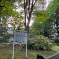 実際訪問したユーザーが直接撮影して投稿した五橋公園五橋公園の写真