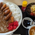 とりカツカレー - 実際訪問したユーザーが直接撮影して投稿した八幡原町定食屋乞和家の写真のメニュー情報