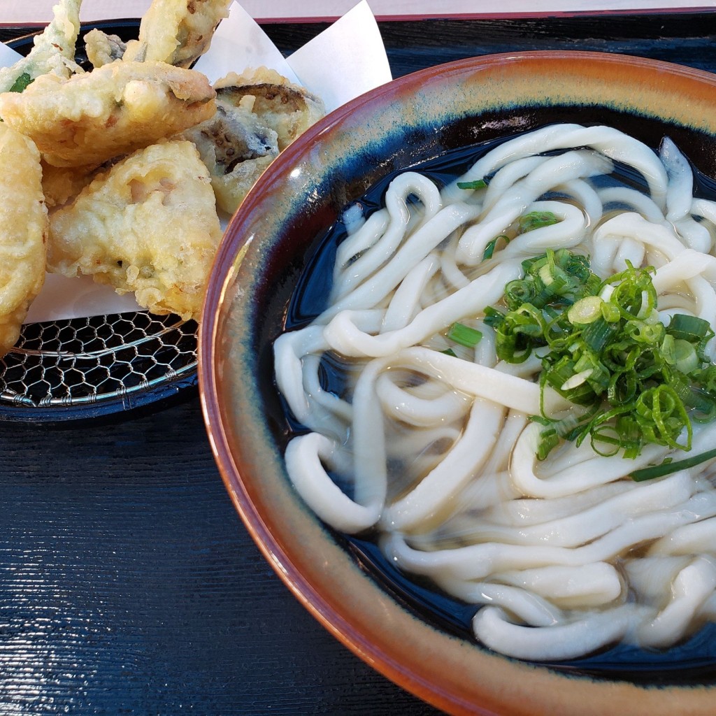 シーモアさんが投稿した櫛梨町うどんのお店白川うどん/シラカワウドンの写真