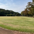 実際訪問したユーザーが直接撮影して投稿した上野田公園さぎ山記念公園の写真