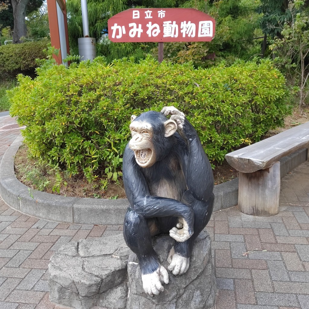 実際訪問したユーザーが直接撮影して投稿した宮田町動物園日立市かみね動物園の写真